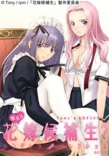Tony’s Heroine Series: Kanojo wa Hanayome Kouhosei? Cinderella Collection